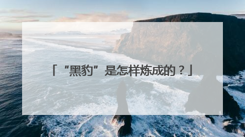“黑豹”是怎样炼成的？