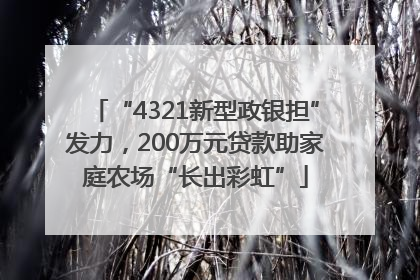 “4321新型政银担”发力，200万元贷款助家庭农场“长出彩虹”