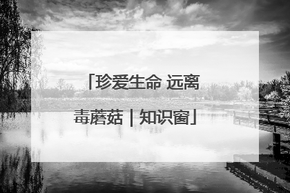 珍爱生命 远离毒蘑菇｜知识窗