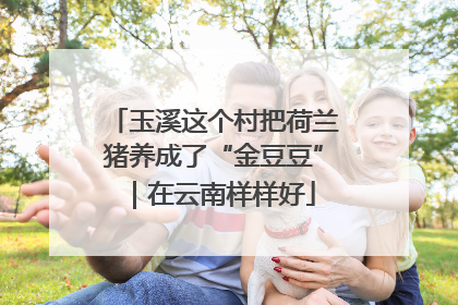 玉溪这个村把荷兰猪养成了“金豆豆”｜在云南样样好