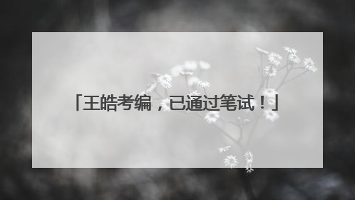 王皓考编，已通过笔试！
