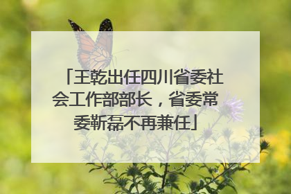 王乾出任四川省委社会工作部部长，省委常委靳磊不再兼任