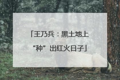 王乃兵：黑土地上“种”出红火日子