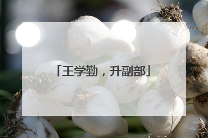 王学勤，升副部