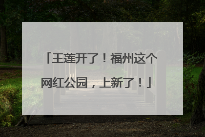 王莲开了！福州这个网红公园，上新了！