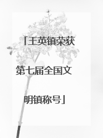 王英镇荣获第七届全国文明镇称号