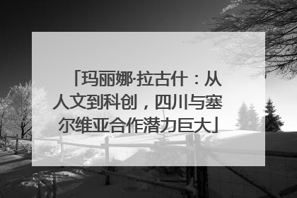 玛丽娜·拉古什：从人文到科创，四川与塞尔维亚合作潜力巨大