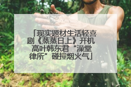 现实题材生活轻喜剧《蒸蒸日上》开机 高叶韩东君“澡堂律所”碰撞烟火气