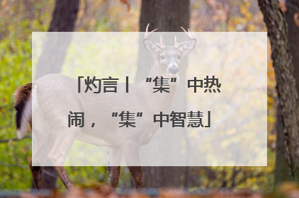 灼言丨“集”中热闹，“集”中智慧