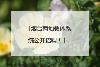 烟台两地教体系统公开招聘！