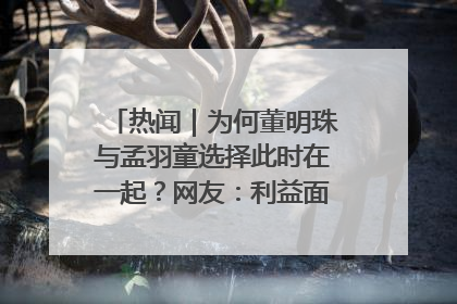 热闻｜为何董明珠与孟羽童选择此时在一起？网友：利益面前啥都能和解