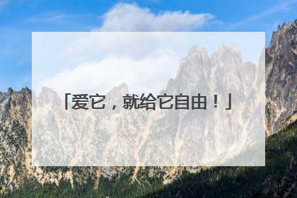 爱它，就给它自由！