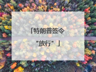 特朗普签令“放行”