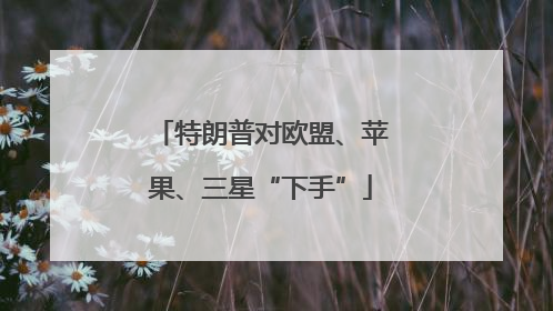 特朗普对欧盟、苹果、三星“下手”