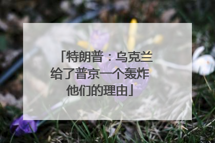 特朗普：乌克兰给了普京一个轰炸他们的理由