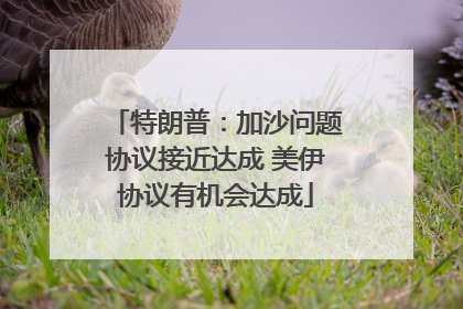 特朗普：加沙问题协议接近达成 美伊协议有机会达成