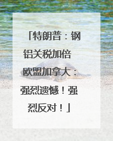 特朗普：钢铝关税加倍 欧盟加拿大：强烈遗憾！强烈反对！