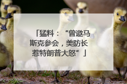 猛料：“曾邀马斯克参会，美防长惹特朗普大怒”