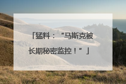 猛料：“马斯克被长期秘密监控！”