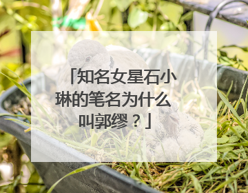 知名女星石小琳的笔名为什么叫郭缪？