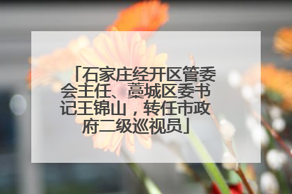 石家庄经开区管委会主任、藁城区委书记王锦山，转任市政府二级巡视员