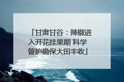 甘肃甘谷：辣椒进入开花挂果期 科学管护确保大田丰收