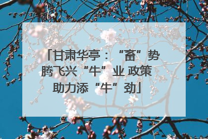 甘肃华亭：“畜”势腾飞兴“牛”业 政策助力添“牛”劲