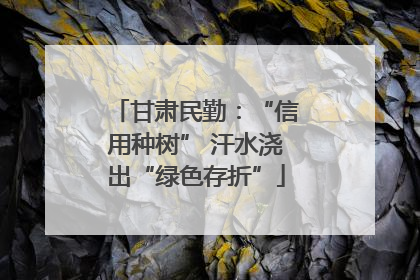 甘肃民勤：“信用种树” 汗水浇出“绿色存折”