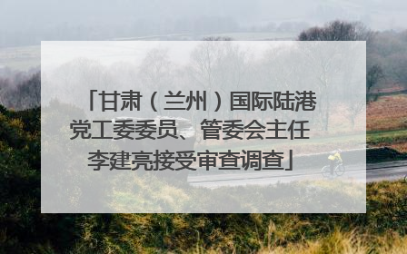 甘肃（兰州）国际陆港党工委委员、管委会主任李建亮接受审查调查