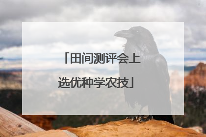 田间测评会上选优种学农技