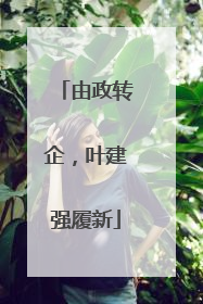 由政转企，叶建强履新