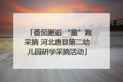 番茄邂逅 “童”趣采摘 河北唐县第二幼儿园研学采摘活动