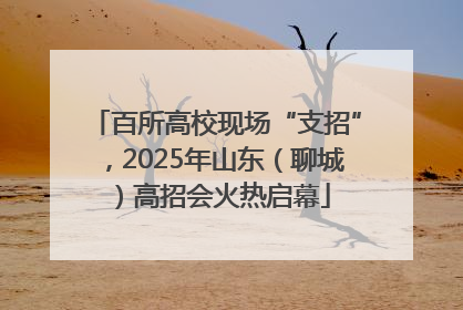 百所高校现场“支招”，2025年山东（聊城）高招会火热启幕