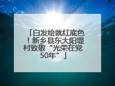 白发绘就红底色！新乡县东大阳堤村致敬“光荣在党50年”