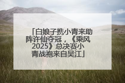白娘子携小青来助阵许仙夺冠，《乘风2025》总决赛小青战袍来自吴江