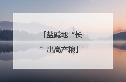 盐碱地“长”出高产粮