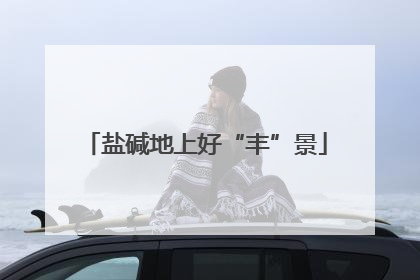 盐碱地上好“丰”景