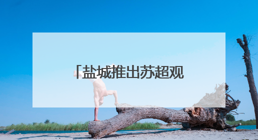 盐城推出苏超观赛消费大礼包，凭球票可享免费游景区、抽汽车大奖