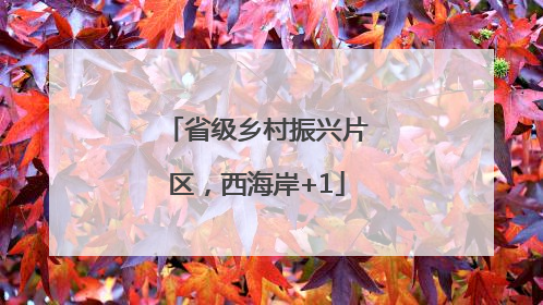 省级乡村振兴片区，西海岸+1
