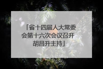 省十四届人大常委会第十六次会议召开 胡昌升主持