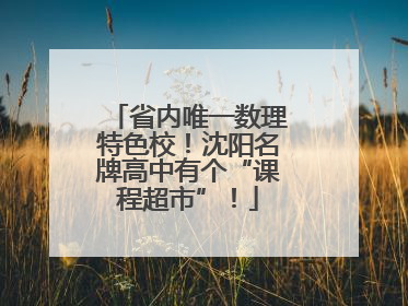 省内唯一数理特色校！沈阳名牌高中有个“课程超市”！