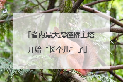 省内最大跨径桥主塔开始“长个儿”了