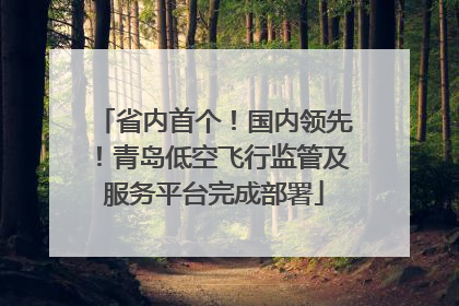 省内首个！国内领先！青岛低空飞行监管及服务平台完成部署