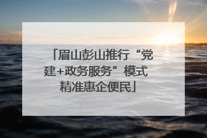 眉山彭山推行“党建+政务服务”模式 精准惠企便民