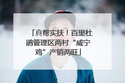 真帮实扶！百里杜鹃管理区两村“威宁鸡”产销两旺