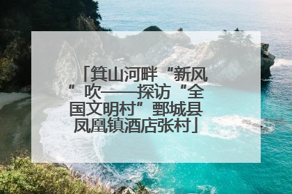 箕山河畔“新风”吹——探访“全国文明村”鄄城县凤凰镇酒店张村