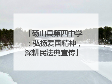 砀山县第四中学：弘扬爱国精神，深耕民法典宣传