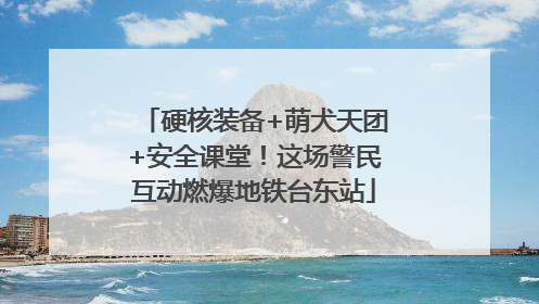 硬核装备+萌犬天团+安全课堂！这场警民互动燃爆地铁台东站