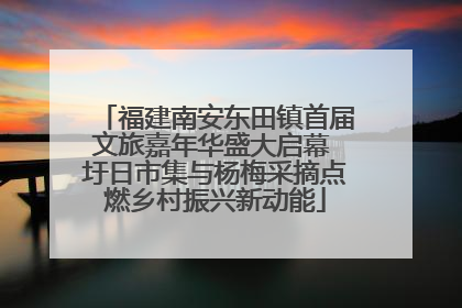 福建南安东田镇首届文旅嘉年华盛大启幕 圩日市集与杨梅采摘点燃乡村振兴新动能