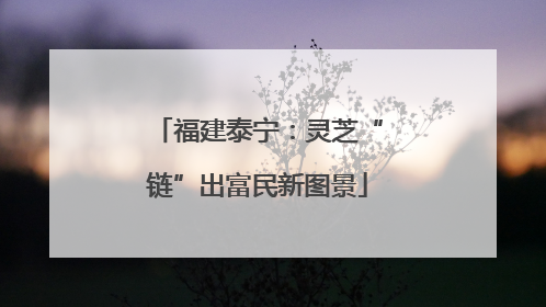 福建泰宁：灵芝“链”出富民新图景